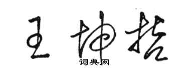 駱恆光王坤哲草書個性簽名怎么寫