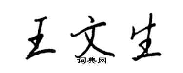王正良王文生行書個性簽名怎么寫