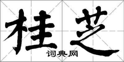 翁闓運桂芝楷書怎么寫