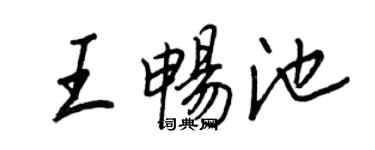 王正良王暢池行書個性簽名怎么寫