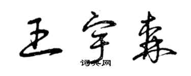 曾慶福王宇森草書個性簽名怎么寫