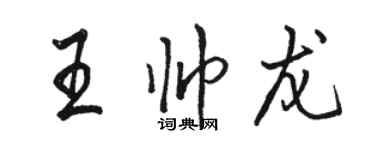 駱恆光王帥龍行書個性簽名怎么寫