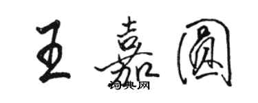 駱恆光王嘉圓行書個性簽名怎么寫