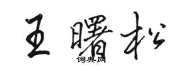 駱恆光王曙松行書個性簽名怎么寫