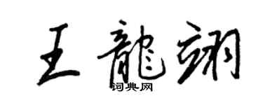 王正良王龍翊行書個性簽名怎么寫