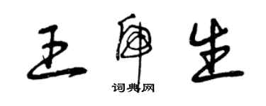 曾慶福王虎生草書個性簽名怎么寫