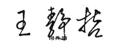 駱恆光王靜哲草書個性簽名怎么寫