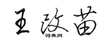 駱恆光王改苗行書個性簽名怎么寫