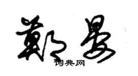 朱錫榮鄭晏草書個性簽名怎么寫