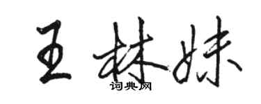 駱恆光王林妹行書個性簽名怎么寫