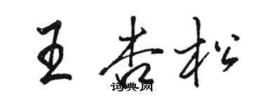 駱恆光王杏松行書個性簽名怎么寫