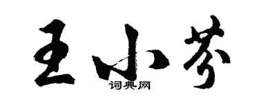 胡問遂王小芬行書個性簽名怎么寫