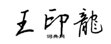 王正良王印龍行書個性簽名怎么寫