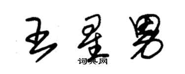 朱錫榮王星男草書個性簽名怎么寫