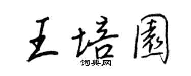 王正良王培園行書個性簽名怎么寫