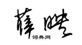 朱錫榮薛映草書個性簽名怎么寫