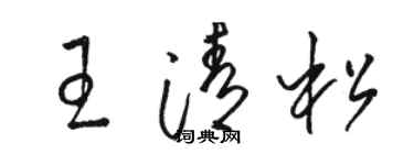 駱恆光王清松草書個性簽名怎么寫