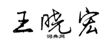 曾慶福王曉宏行書個性簽名怎么寫