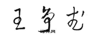 駱恆光王爭武草書個性簽名怎么寫