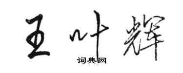 駱恆光王葉輝行書個性簽名怎么寫