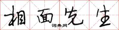 段相林相面先生行書怎么寫
