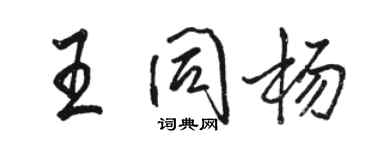 駱恆光王同楊行書個性簽名怎么寫