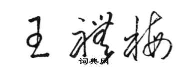 駱恆光王禮梅草書個性簽名怎么寫