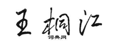 駱恆光王桐江行書個性簽名怎么寫