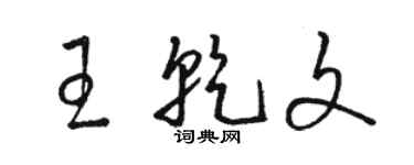 駱恆光王乾文草書個性簽名怎么寫