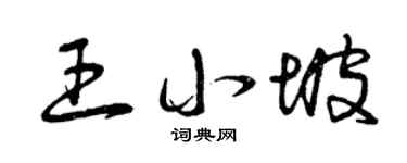 曾慶福王小坡草書個性簽名怎么寫