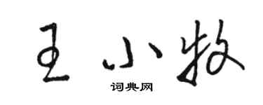 駱恆光王小牧草書個性簽名怎么寫