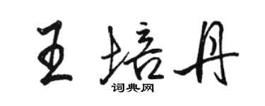 駱恆光王培丹行書個性簽名怎么寫