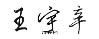 駱恆光王宇辛行書個性簽名怎么寫