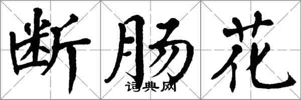 翁闓運斷腸花楷書怎么寫