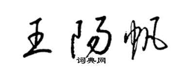 梁錦英王陽帆草書個性簽名怎么寫