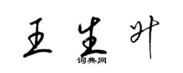 梁錦英王生升草書個性簽名怎么寫