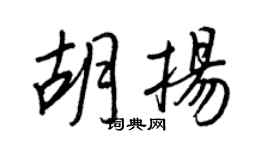 王正良胡揚行書個性簽名怎么寫