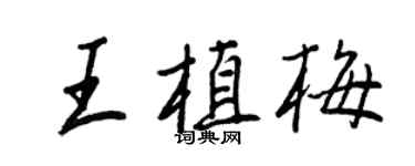 王正良王植梅行書個性簽名怎么寫