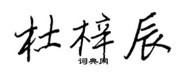 王正良杜梓辰行書個性簽名怎么寫