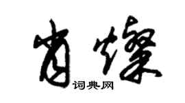 朱錫榮肖燦草書個性簽名怎么寫