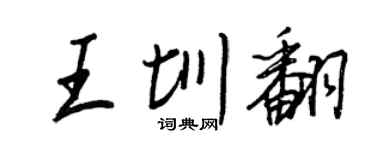 王正良王圳翻行書個性簽名怎么寫
