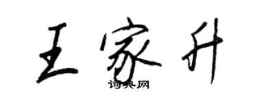 王正良王家升行書個性簽名怎么寫