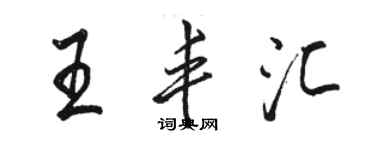 駱恆光王豐匯行書個性簽名怎么寫