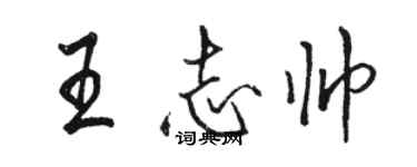 駱恆光王志帥行書個性簽名怎么寫