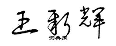 曾慶福王新輝草書個性簽名怎么寫