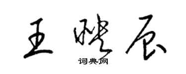 梁錦英王映辰草書個性簽名怎么寫