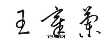 駱恆光王章蘭草書個性簽名怎么寫