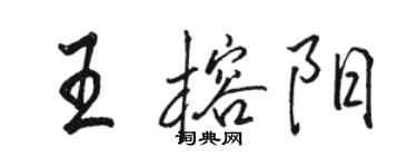 駱恆光王榕陽行書個性簽名怎么寫