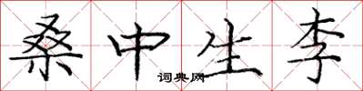 龐中華桑中生李楷書怎么寫