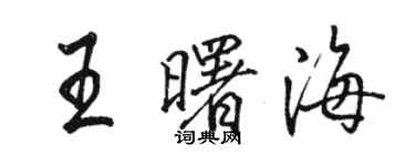 駱恆光王曙海行書個性簽名怎么寫